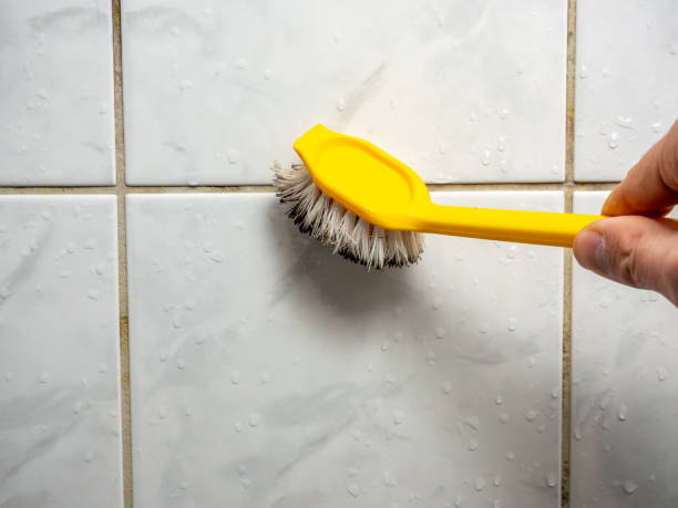 Best DIY Mold Remediation Support Services in Prairie View, TX
